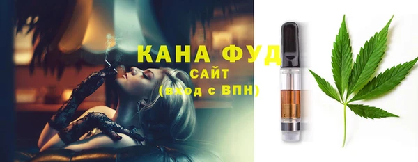 ECSTASY Алзамай