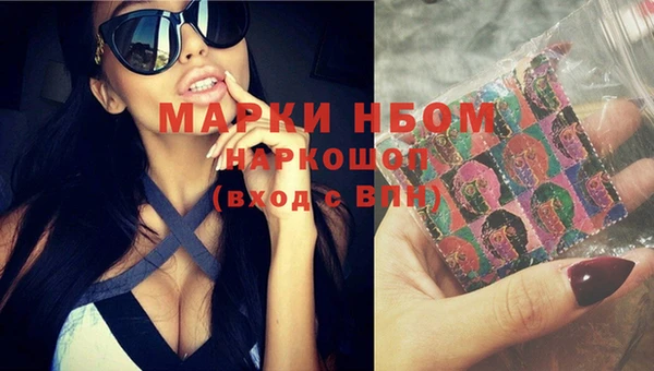 ECSTASY Алзамай
