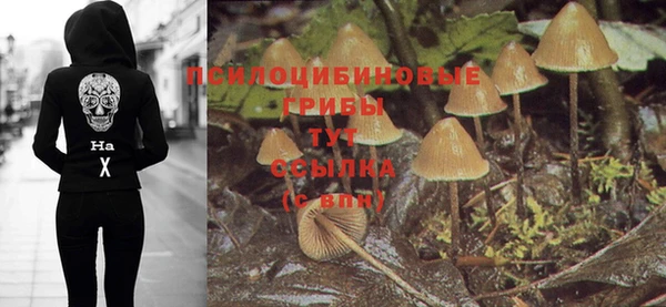 MDMA Алексин