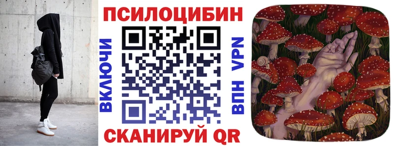 Псилоцибиновые грибы Psilocybe  Туймазы 